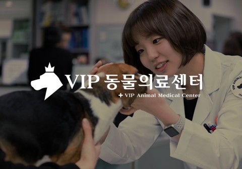 사보 제작