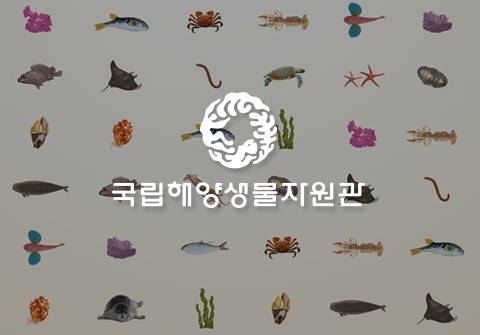 기획전시회 '이름짓다' 포스터 및 안내 리플렛